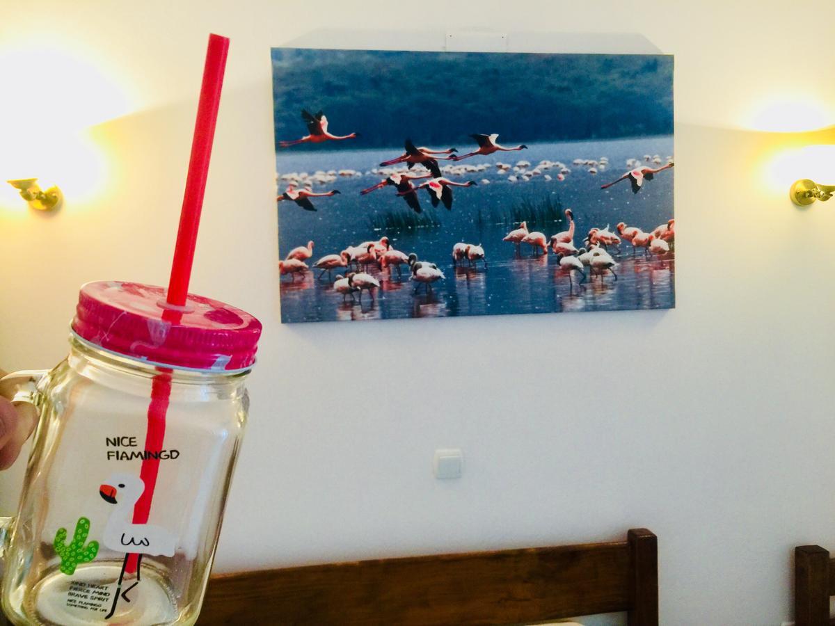 Apartments Flamingo Ulcinj Buitenkant foto